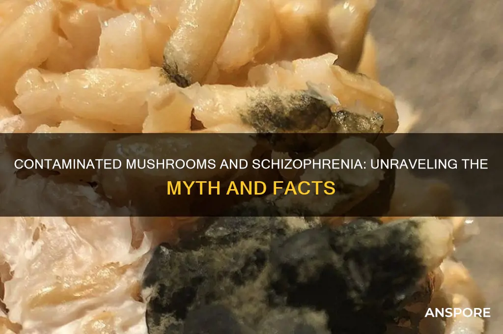 can contaminated mushrooms cause you to become skitzophrenic
