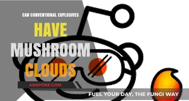 Explosive Truth: Do Conventional Blasts Create Mushroom Clouds?