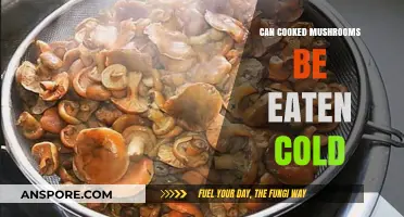 Can Cooked Mushrooms Be Eaten Cold? A Tasty Truth Revealed