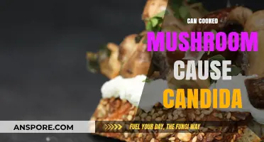 Cooked Mushrooms and Candida: Debunking Myths and Understanding Risks