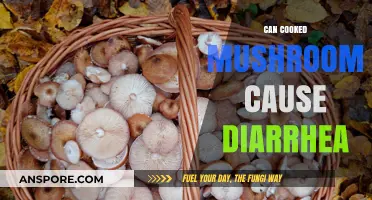 Can Cooked Mushrooms Cause Diarrhea? Exploring the Digestive Truth