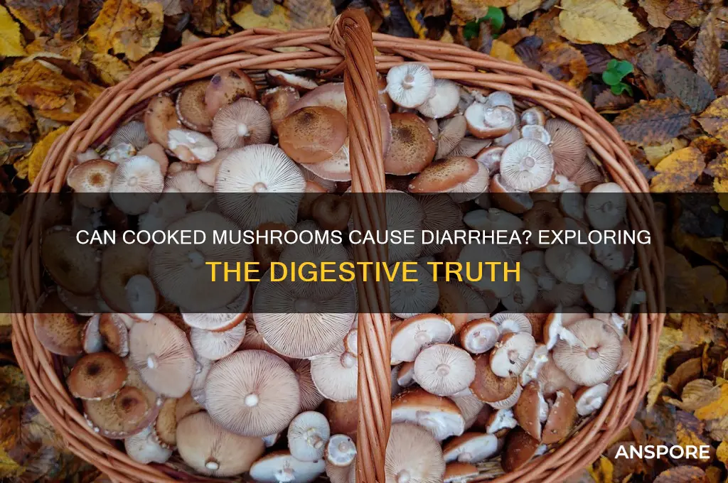 can cooked mushrooms cause diarrhea
