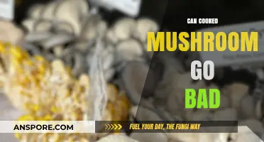 Can Cooked Mushrooms Go Bad? Shelf Life and Storage Tips