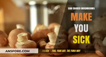 Can Cooked Mushrooms Make You Sick? Risks and Safe Practices