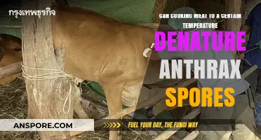 Does Cooking Meat at Specific Temperatures Destroy Anthrax Spores?