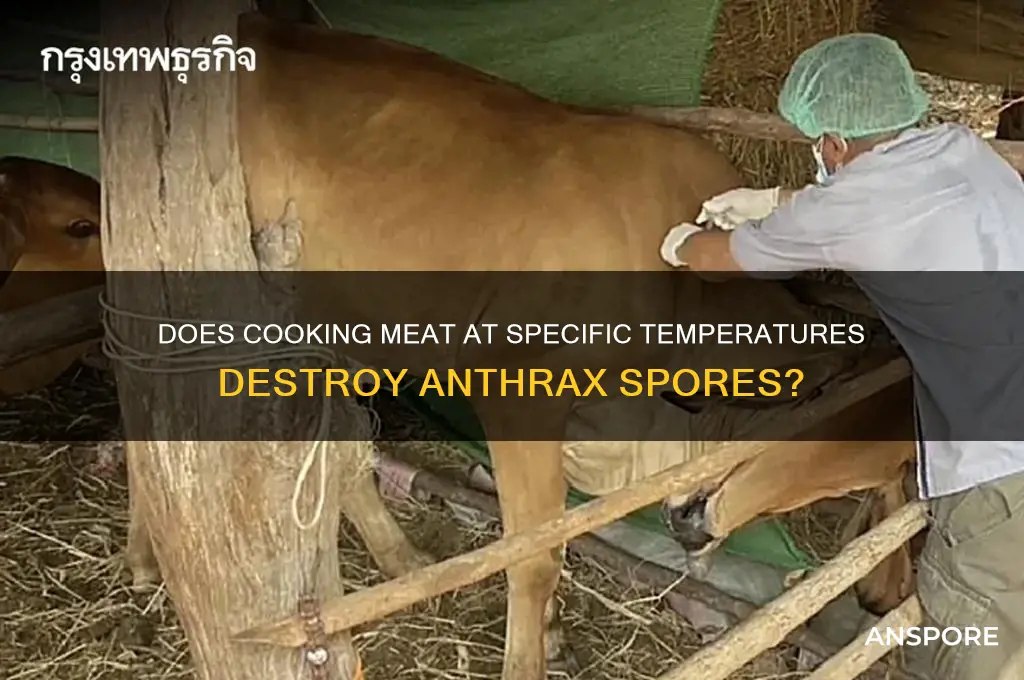 can cooking meat to a certain temperature denature anthrax spores