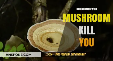 Wild Mushroom Cooking: Deadly Mistakes or Delicious Delicacy?