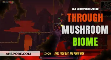Exploring Corruption's Impact on Mushroom Biomes: A Spreading Threat?