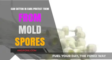 Cotton in Ears: Effective Protection Against Mold Spores or Myth?