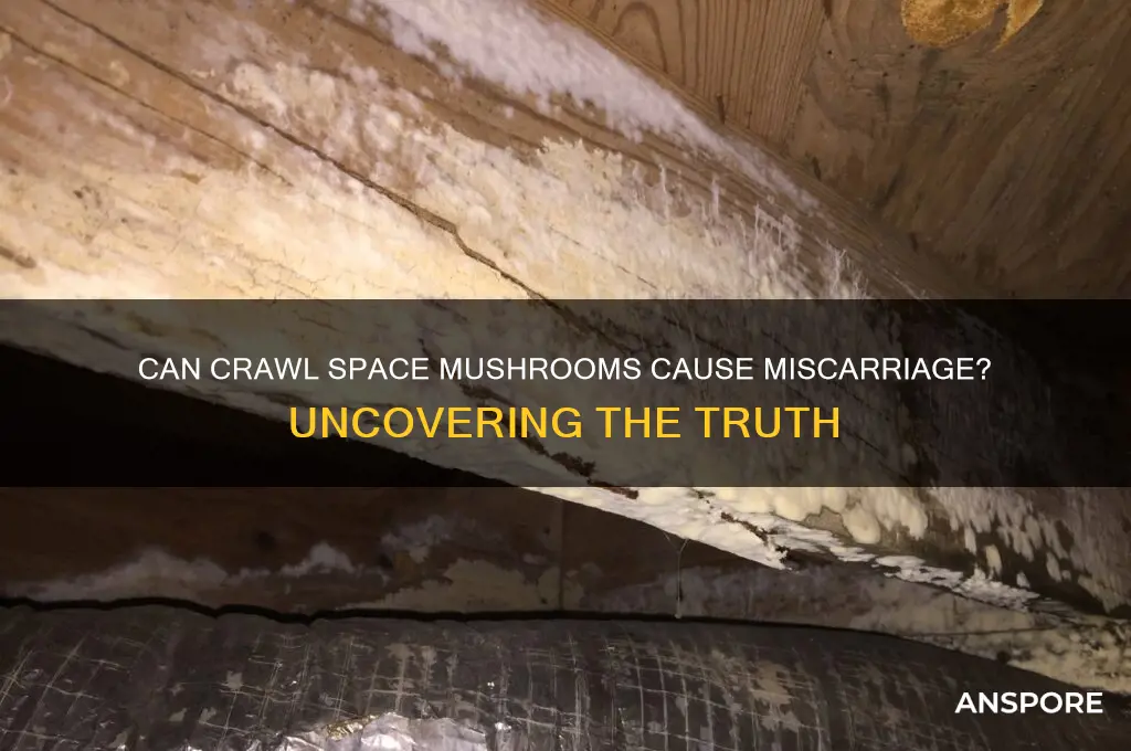 can crawl space mushrooms cause miscarriage