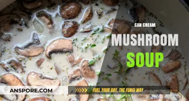 Cream of Mushroom Soup: Versatile Recipes, Tips, and Creative Uses