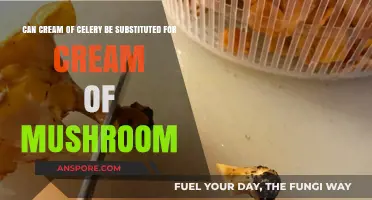 Cream of Celery vs. Mushroom: Perfect Substitute or Culinary Compromise?