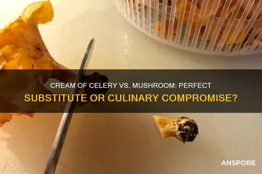 can cream of celery be substituted for cream of mushroom