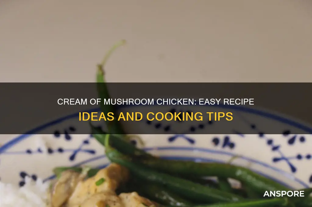 can cream of mushroom chicken