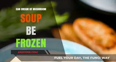 Can You Freeze Cream of Mushroom Soup? A Complete Guide