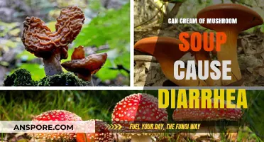 Can Cream of Mushroom Soup Cause Diarrhea? Facts and Tips