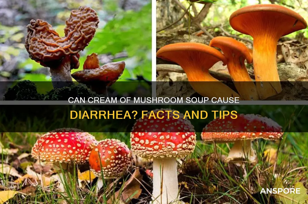 can cream of mushroom soup cause diarrhea