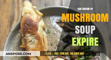 Does Cream of Mushroom Soup Expire? Shelf Life and Storage Tips