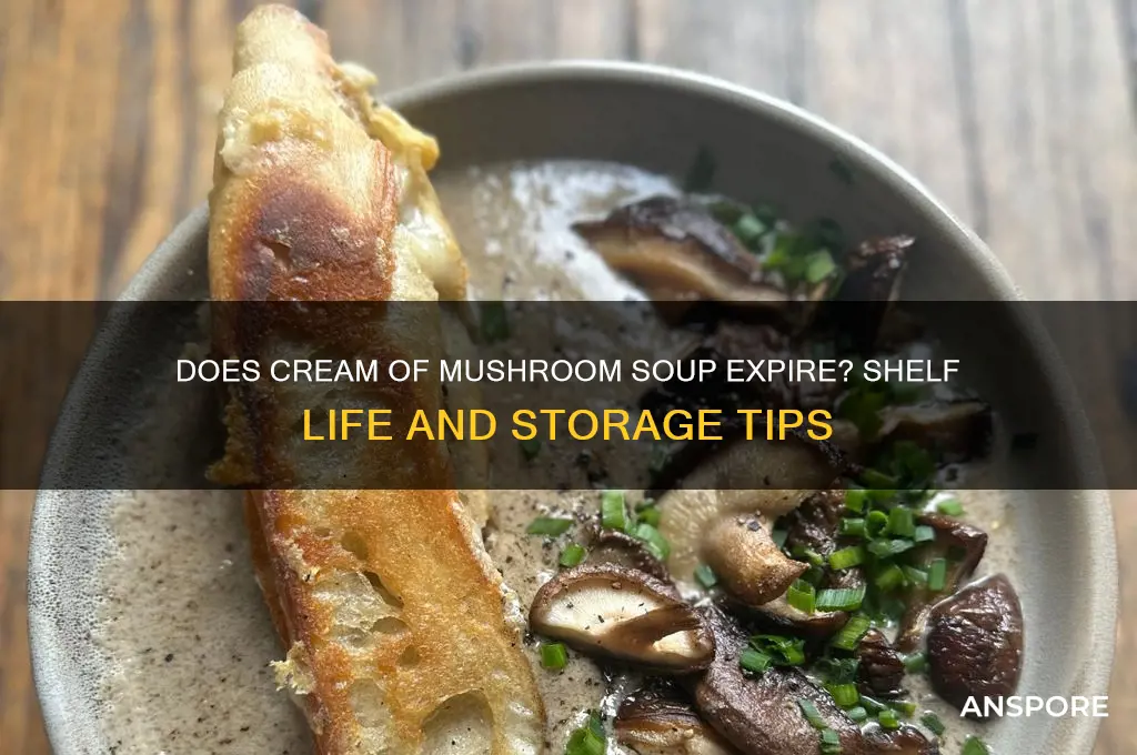 can cream of mushroom soup expire