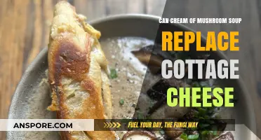 Cream of Mushroom Soup vs. Cottage Cheese: Can It Replace It?