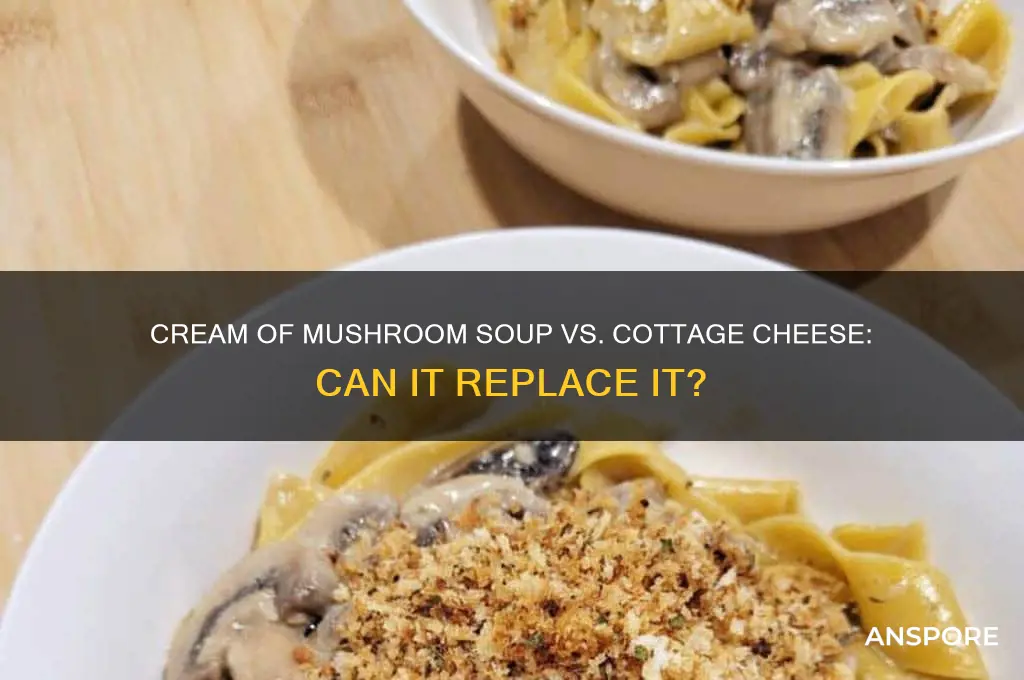 can cream of mushroom soup replace cottage cheese