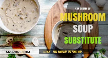 Cream of Mushroom Soup Substitute: Creative Alternatives for Recipes
