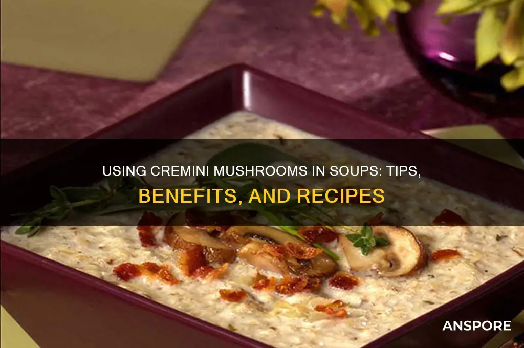 can cremini mushrooms be used in soups