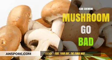 Can Cremini Mushrooms Spoil? Shelf Life and Storage Tips