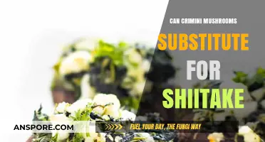 Crimini vs. Shiitake: Can These Mushrooms Be Substituted?