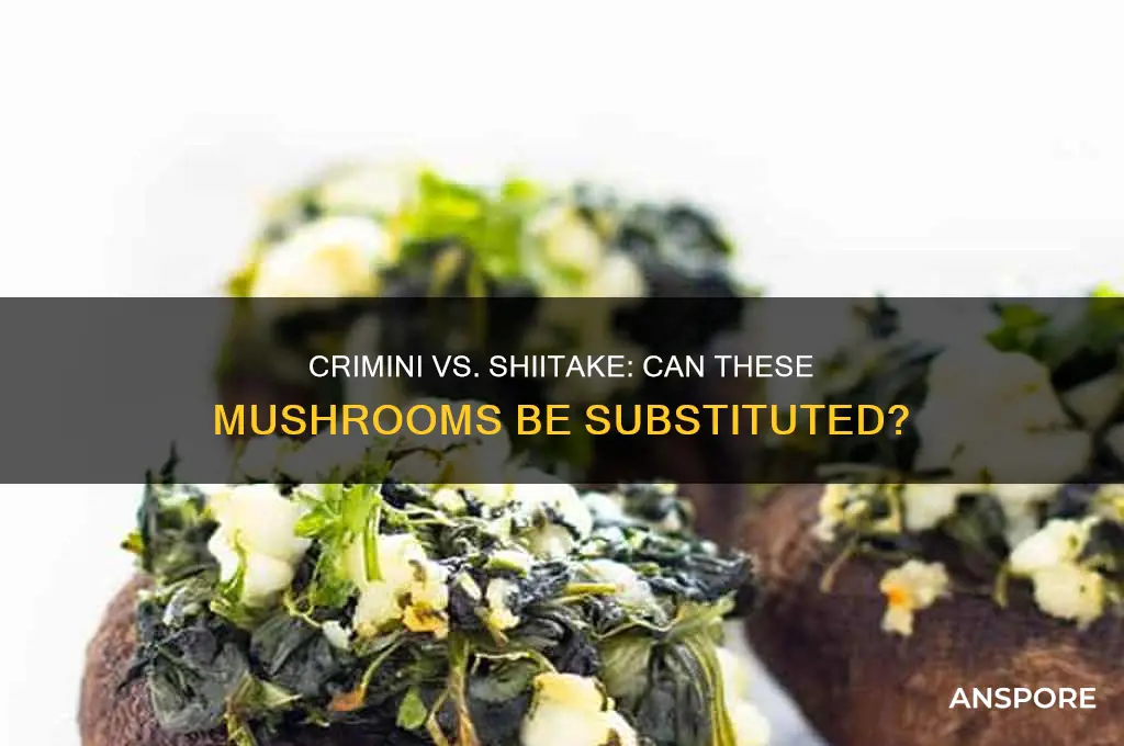 can crimini mushrooms substitute for shiitake