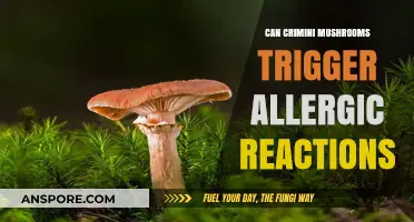 Crimini Mushrooms and Allergies: Understanding Potential Reactions and Risks