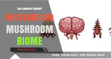 Crimson's Impact: Can It Corrupt Underground Mushroom Biomes?