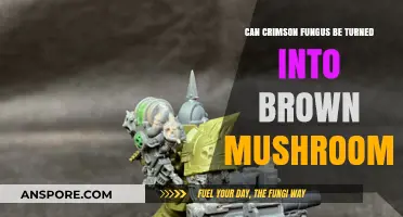 Transforming Crimson Fungus: Can It Become Brown Mushrooms?