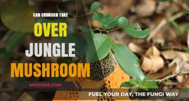 Crimson's Conquest: Can It Dominate the Jungle Mushroom Ecosystem?