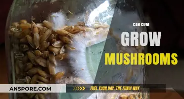 Can Semen Cultivate Mushrooms? Exploring the Science Behind the Myth