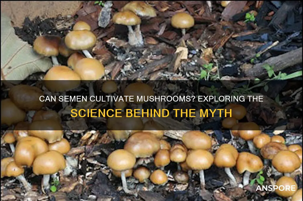 can cum grow mushrooms