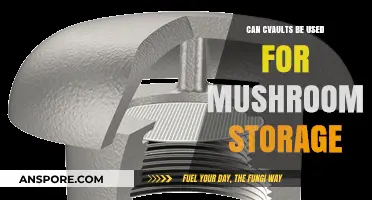 Using CVaults for Mushroom Storage: Benefits and Best Practices