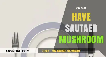 Can Dogs Eat Sautéed Mushrooms? A Safe Feeding Guide