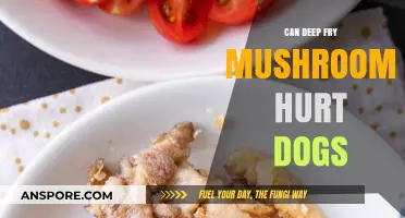 Deep-Fried Mushrooms: Are They Safe for Your Dog to Eat?