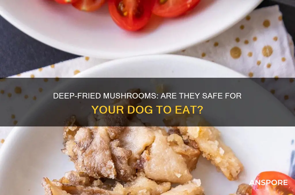 can deep fry mushrooms hurt dogs