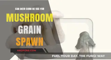 Using Deer Corn for Mushroom Grain Spawn: A Viable Option?