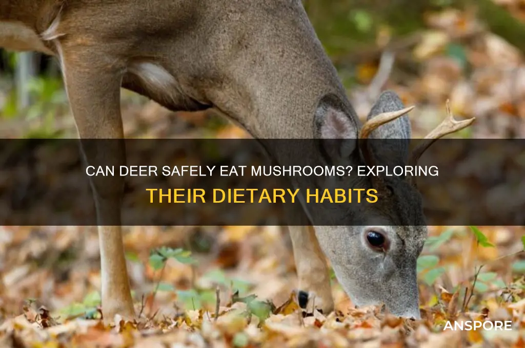 can deer eat mushrooms