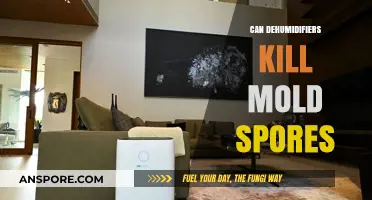 Can Dehumidifiers Kill Mold Spores? The Truth Revealed