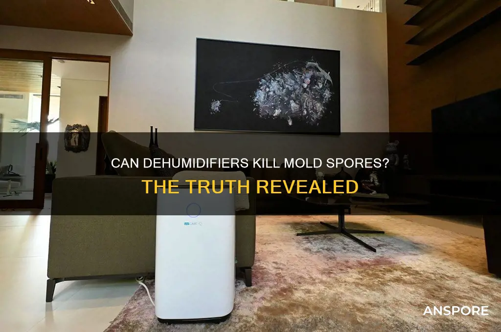 can dehumidifiers kill mold spores