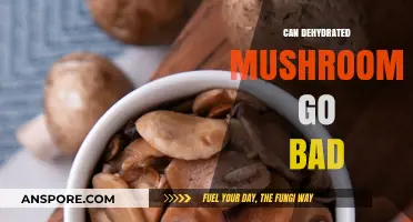 Do Dehydrated Mushrooms Expire? Shelf Life and Storage Tips