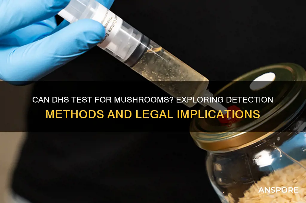 can dhs test for mushrooms