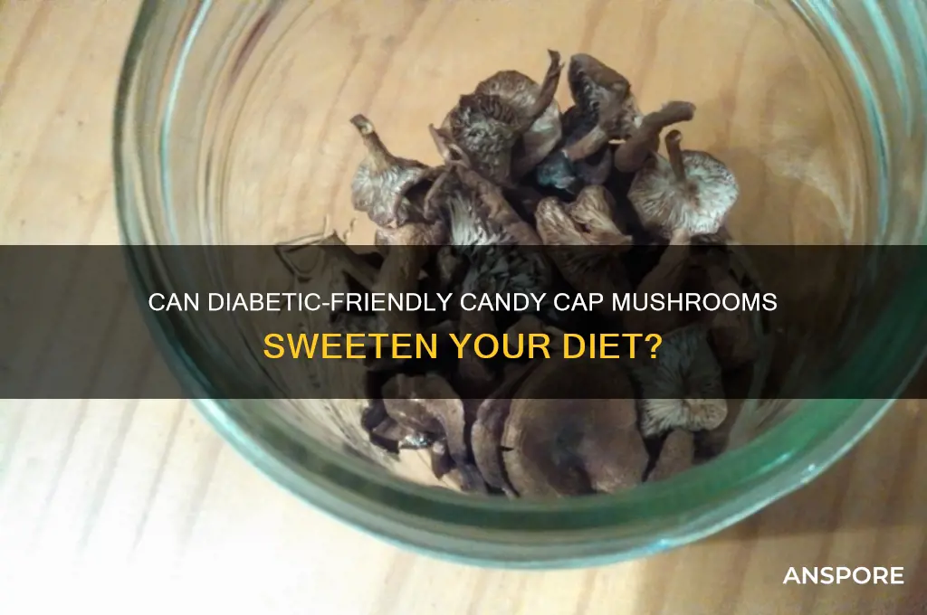 can diabetic candy cap mushroom