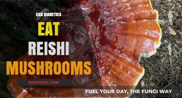 Reishi Mushrooms and Diabetes: Benefits, Risks, and Safe Consumption Tips