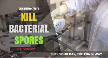 Disinfectants vs. Bacterial Spores: Can They Truly Eliminate the Threat?