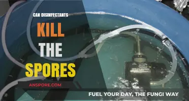 Disinfectants vs. Spores: Can Cleaning Agents Eliminate Resilient Microbial Spores?